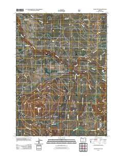 Shake Butte Oregon Historical topographic map, 1:24000 scale, 7.5 X 7.5 Minute, Year 2011