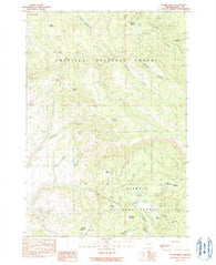 Sharp Ridge Oregon Historical topographic map, 1:24000 scale, 7.5 X 7.5 Minute, Year 1990