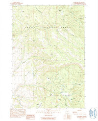 Sharp Ridge Oregon Historical topographic map, 1:24000 scale, 7.5 X 7.5 Minute, Year 1990