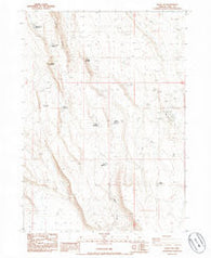 Sharp Top Oregon Historical topographic map, 1:24000 scale, 7.5 X 7.5 Minute, Year 1985