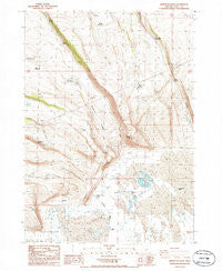 Sheeplick Draw Oregon Historical topographic map, 1:24000 scale, 7.5 X 7.5 Minute, Year 1986