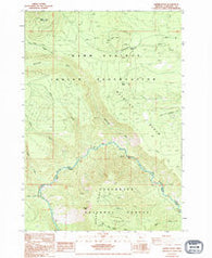 Shitike Butte Oregon Historical topographic map, 1:24000 scale, 7.5 X 7.5 Minute, Year 1988