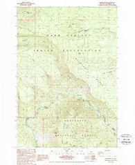 Shitike Butte Oregon Historical topographic map, 1:24000 scale, 7.5 X 7.5 Minute, Year 1988