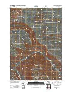 Shitike Butte Oregon Historical topographic map, 1:24000 scale, 7.5 X 7.5 Minute, Year 2011
