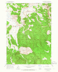Shoestring Butte Oregon Historical topographic map, 1:24000 scale, 7.5 X 7.5 Minute, Year 1964