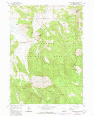Shoestring Butte Oregon Historical topographic map, 1:24000 scale, 7.5 X 7.5 Minute, Year 1964