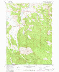 Shoestring Butte Oregon Historical topographic map, 1:24000 scale, 7.5 X 7.5 Minute, Year 1964
