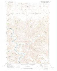 Shoestring Ridge Oregon Historical topographic map, 1:24000 scale, 7.5 X 7.5 Minute, Year 1970