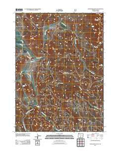 Shoestring Butte Oregon Historical topographic map, 1:24000 scale, 7.5 X 7.5 Minute, Year 2011