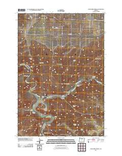 Shoestring Ridge Oregon Historical topographic map, 1:24000 scale, 7.5 X 7.5 Minute, Year 2011