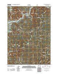 Signal Buttes Oregon Historical topographic map, 1:24000 scale, 7.5 X 7.5 Minute, Year 2011