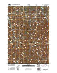 Silica Mountain Oregon Historical topographic map, 1:24000 scale, 7.5 X 7.5 Minute, Year 2011