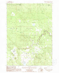 Silver Dollar Flat Oregon Historical topographic map, 1:24000 scale, 7.5 X 7.5 Minute, Year 1988