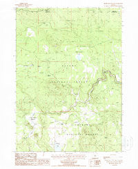 Silver Dollar Flat Oregon Historical topographic map, 1:24000 scale, 7.5 X 7.5 Minute, Year 1988