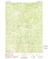 Silver Peak Oregon Historical topographic map, 1:24000 scale, 7.5 X 7.5 Minute, Year 1989