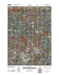 Silver Dollar Flat Oregon Historical topographic map, 1:24000 scale, 7.5 X 7.5 Minute, Year 2011