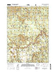 Silver Dollar Flat Oregon Current topographic map, 1:24000 scale, 7.5 X 7.5 Minute, Year 2014