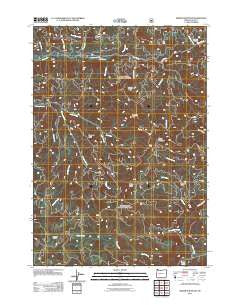 Sinker Mountain Oregon Historical topographic map, 1:24000 scale, 7.5 X 7.5 Minute, Year 2011
