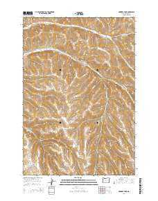 Skinners Fork Oregon Current topographic map, 1:24000 scale, 7.5 X 7.5 Minute, Year 2014