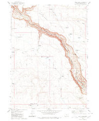 Skull Creek Oregon Historical topographic map, 1:24000 scale, 7.5 X 7.5 Minute, Year 1980