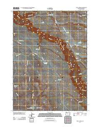 Skull Creek Oregon Historical topographic map, 1:24000 scale, 7.5 X 7.5 Minute, Year 2011