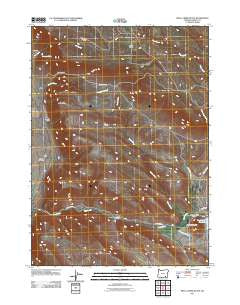 Skull Creek Butte Oregon Historical topographic map, 1:24000 scale, 7.5 X 7.5 Minute, Year 2011