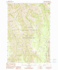 Sleepy Ridge Oregon Historical topographic map, 1:24000 scale, 7.5 X 7.5 Minute, Year 1990