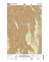 Sleepy Ridge Oregon Current topographic map, 1:24000 scale, 7.5 X 7.5 Minute, Year 2014