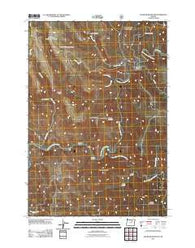 Slickear Mountain Oregon Historical topographic map, 1:24000 scale, 7.5 X 7.5 Minute, Year 2011