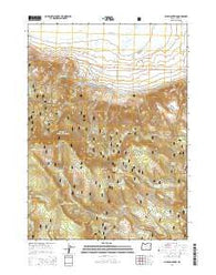 Slide Mountain Oregon Current topographic map, 1:24000 scale, 7.5 X 7.5 Minute, Year 2014
