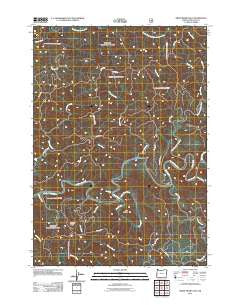 Smith River Falls Oregon Historical topographic map, 1:24000 scale, 7.5 X 7.5 Minute, Year 2011