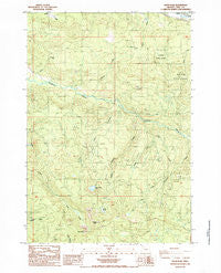 Snow Peak Oregon Historical topographic map, 1:24000 scale, 7.5 X 7.5 Minute, Year 1985