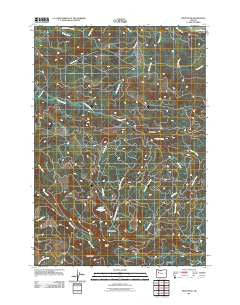 Snow Peak Oregon Historical topographic map, 1:24000 scale, 7.5 X 7.5 Minute, Year 2011