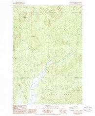 Soapstone Lake Oregon Historical topographic map, 1:24000 scale, 7.5 X 7.5 Minute, Year 1985