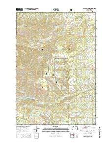 Socialist Valley Oregon Current topographic map, 1:24000 scale, 7.5 X 7.5 Minute, Year 2014