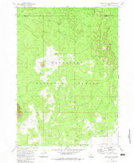 South Ice Cave Oregon Historical topographic map, 1:24000 scale, 7.5 X 7.5 Minute, Year 1982