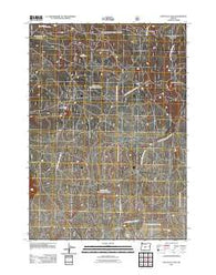 South Ice Cave Oregon Historical topographic map, 1:24000 scale, 7.5 X 7.5 Minute, Year 2011