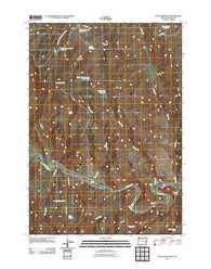 South Mountain Oregon Historical topographic map, 1:24000 scale, 7.5 X 7.5 Minute, Year 2011