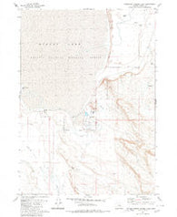 Southeast Harney Lake Oregon Historical topographic map, 1:24000 scale, 7.5 X 7.5 Minute, Year 1980
