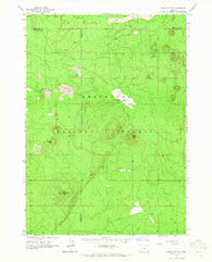 Spring Butte Oregon Historical topographic map, 1:24000 scale, 7.5 X 7.5 Minute, Year 1963