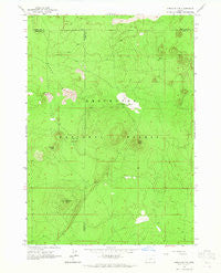 Spring Butte Oregon Historical topographic map, 1:24000 scale, 7.5 X 7.5 Minute, Year 1963