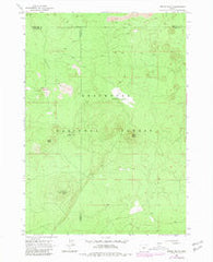 Spring Butte Oregon Historical topographic map, 1:24000 scale, 7.5 X 7.5 Minute, Year 1963