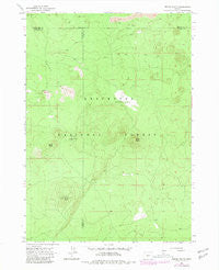 Spring Butte Oregon Historical topographic map, 1:24000 scale, 7.5 X 7.5 Minute, Year 1963