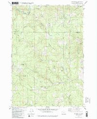 Springer Mtn Oregon Historical topographic map, 1:24000 scale, 7.5 X 7.5 Minute, Year 1979
