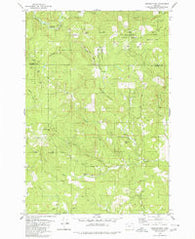 Springer Mtn Oregon Historical topographic map, 1:24000 scale, 7.5 X 7.5 Minute, Year 1979