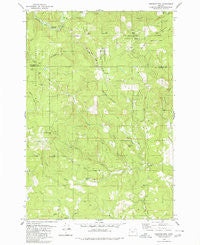 Springer Mtn Oregon Historical topographic map, 1:24000 scale, 7.5 X 7.5 Minute, Year 1979