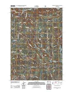 Springer Mountain Oregon Historical topographic map, 1:24000 scale, 7.5 X 7.5 Minute, Year 2011