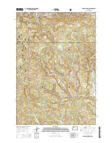 Springer Mountain Oregon Current topographic map, 1:24000 scale, 7.5 X 7.5 Minute, Year 2014