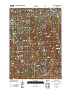 Staley Ridge Oregon Historical topographic map, 1:24000 scale, 7.5 X 7.5 Minute, Year 2011