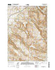 Stayton NE Oregon Current topographic map, 1:24000 scale, 7.5 X 7.5 Minute, Year 2014
